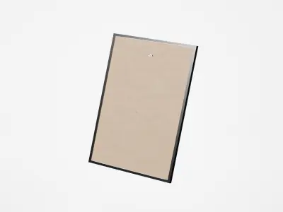 Bold and Brash in a Frame with a passeparout Free 3D model