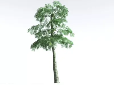 EVERYPlant Alethopteris Seed Fern LowPoly 4 --12 Models-- Low-poly 3D model