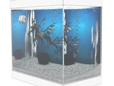 Leafy Sea Dragon 3D model