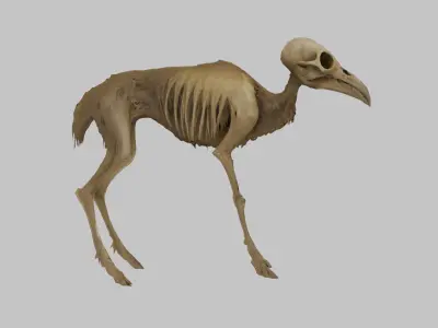 3D Model of a Stylized Deer Skeleton Low-poly 3D model