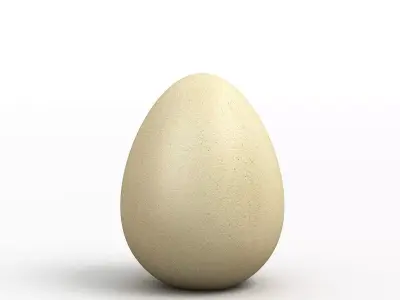 Egg 3D Model 3D model