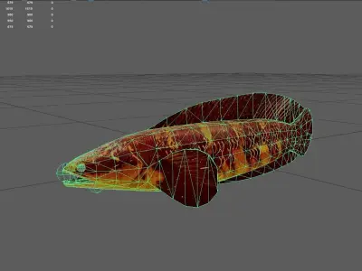 Snakehead Low-poly 3D model