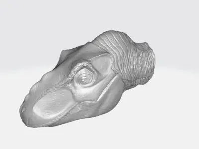 T-Rex head model 3D model