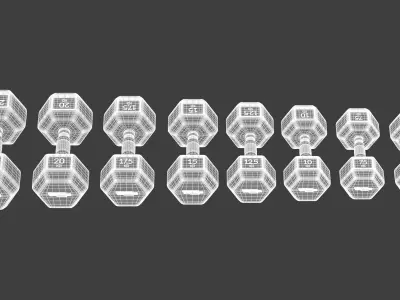 Technogym Hexagon Dumbbell 3D model