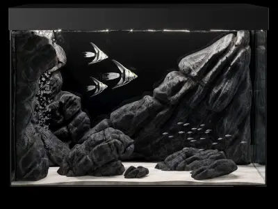 Aquarium box 3D model