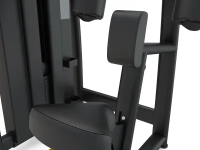 Technogym - Selectorised - Reverse Fly 3D model