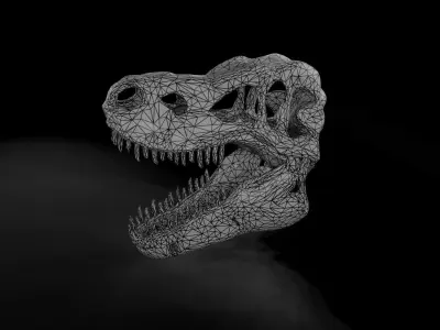 Trex  low poly game ready  Skull Low-poly 3D model