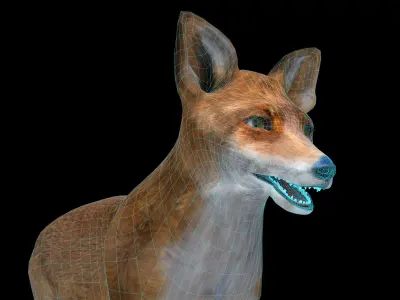 Fox red 3D model Low-poly 3D model