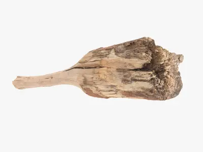 Club Worn Low-poly 3D model