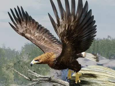 Golden Eagle - BLENDER 3D model