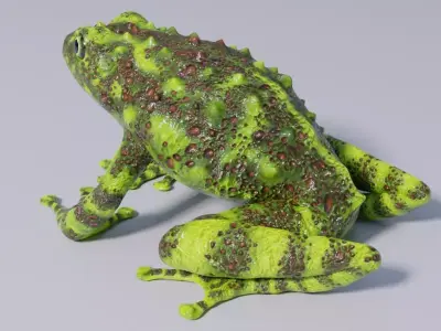 Vietnamese Mossy Frog Rigged Free low-poly 3D model