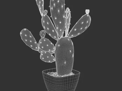  Imperfect Prickly Pear Cactus Potted Plant Model 