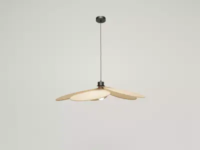 Fabric ceiling Lamp Free 3D model