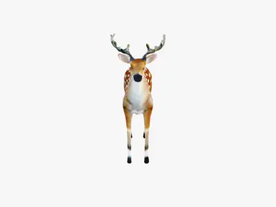 Deer Animal Free 3D model