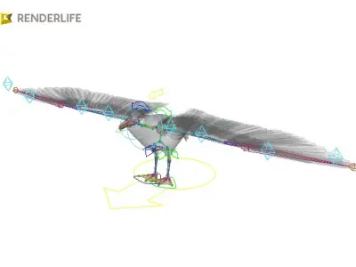 Seagull flying in air 3D model