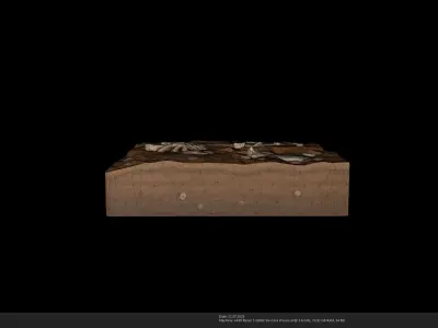 Stylized Fossil Dig Site - Skeleton Remains - AI Low-poly 3D model