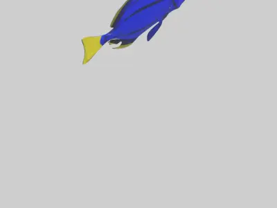 Blue Tang darting through coral model Low-poly 3D model