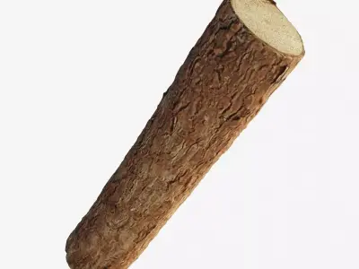 Scanned coniferous firewood Low-poly 3D model