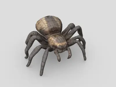 Tarantula Low-poly 3D model
