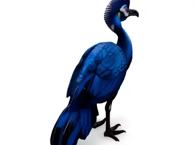 Blue Crowned Pigeon 3D Model Low-poly 3D model