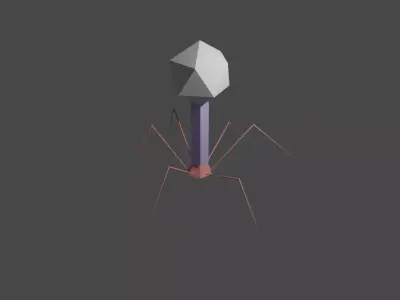 Bacteriophage Low Poly insect Low-poly 3D model