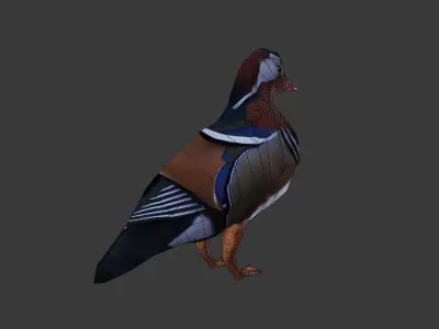 Mandarin duck 3d Low-poly 3D model