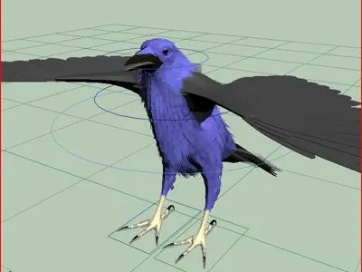 CROW - Fully Rigged For Max 3D model