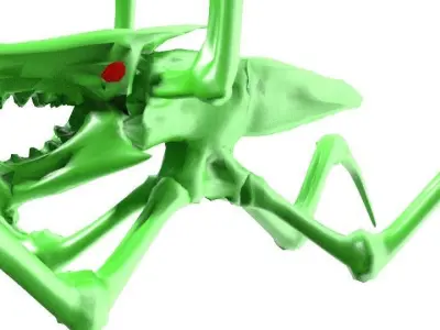 Arachnid insect 3D model