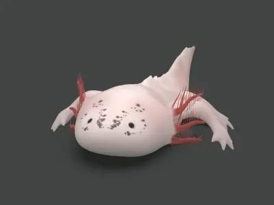 Axolotl Low-poly 3D model
