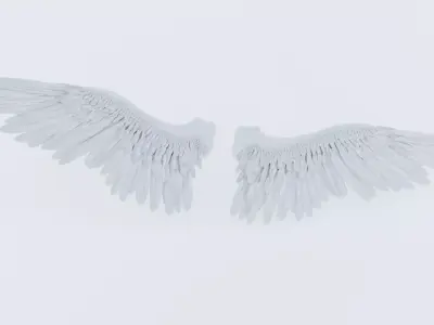 Angel or bird wings 3D model