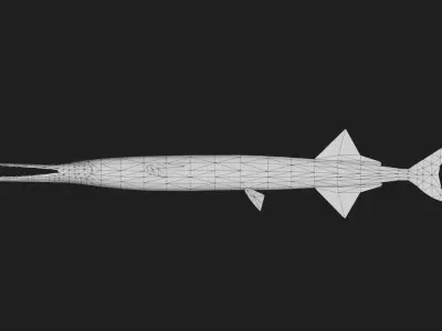 Garfish Low-poly 3D model