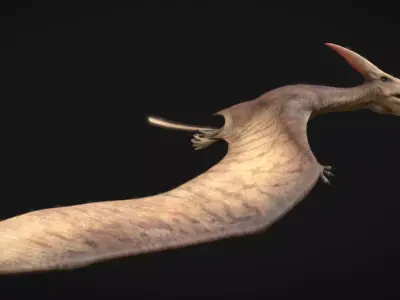 Pteranodon The Winged Ruler of the Cretaceous Skies  Low-poly 3D model