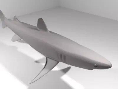 Shark - Piked 3D model