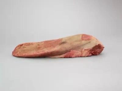 Raw Pig Tongue Low-poly 3D model