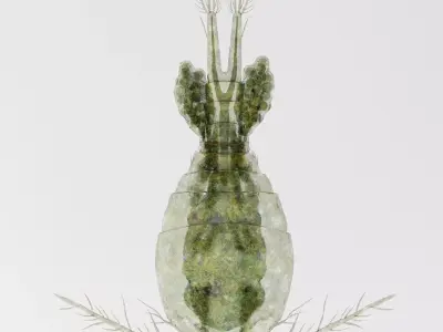 Cyclops Rigged 3D model