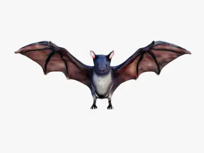 Bat Animal Free 3D model