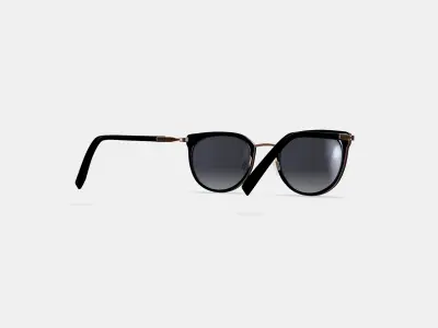 Whittier Sunglasses in Jet Black with Polished Gold 3D model