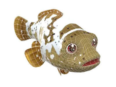 Malabar Grouper Animated Fish  Low-poly 3D model