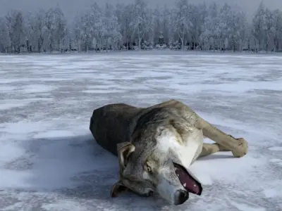 Gray Wolf Low-poly 3D model