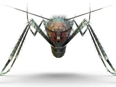 LowPoly Big Realistic Mosquito Low-poly 3D model