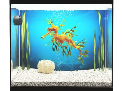 Leafy Sea Dragon 3D model