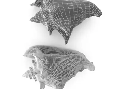 Shell 03 - Low and High Poly Versions Low-poly 3D model