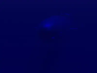 Submarine Animation 3D model