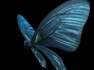 BlueButterflyAnimationC4D 3D model