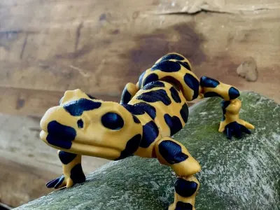Movable figure of the salmander toy print in place body Free 3D print model