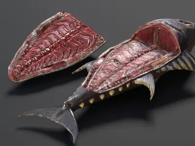 Butchered Bluefin Tuna Fish set and lods Low-poly 3D model