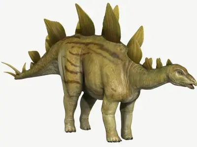 Stegosaurus dinosaur Low-poly 3D model