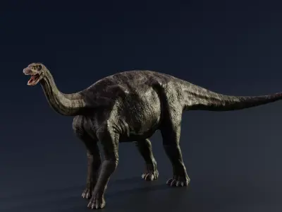 3D Shunosaurus dinosaur Low-poly 3D model