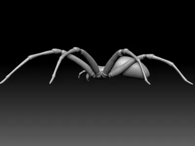 Brown Recluse Spider Low-poly 3D model