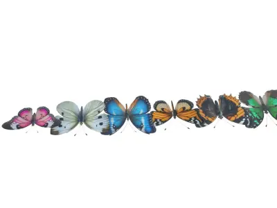 Butterflies looping animation  Low-poly 3D model